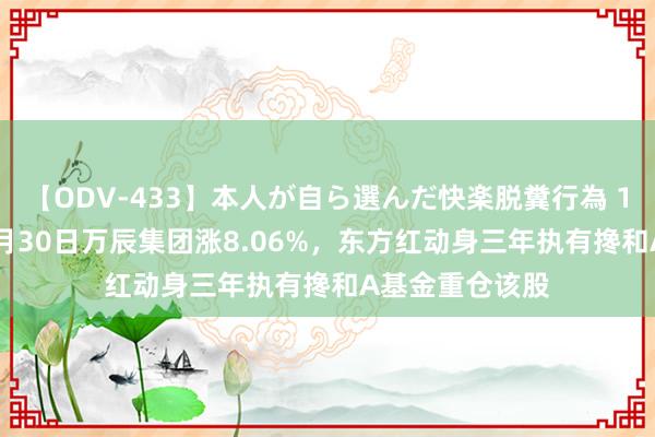 【ODV-433】本人が自ら選んだ快楽脱糞行為 1 神崎まゆみ 7月30日万辰集团涨8.06%，东方红动身三年执有搀和A基金重仓该股