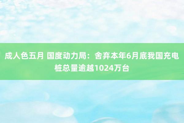 成人色五月 国度动力局：舍弃本年6月底我国充电桩总量逾越1024万台