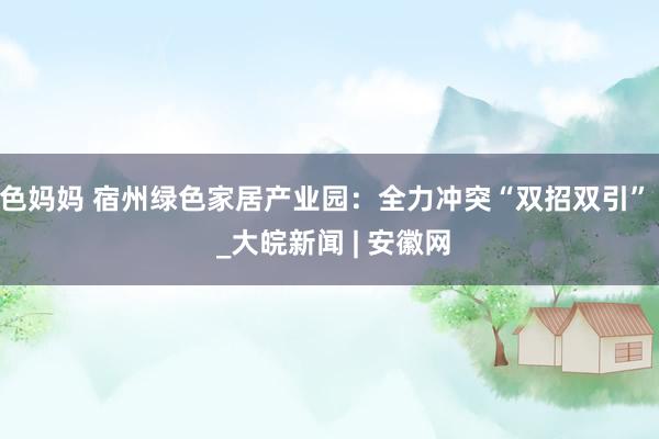 色妈妈 宿州绿色家居产业园：全力冲突“双招双引”  _大皖新闻 | 安徽网