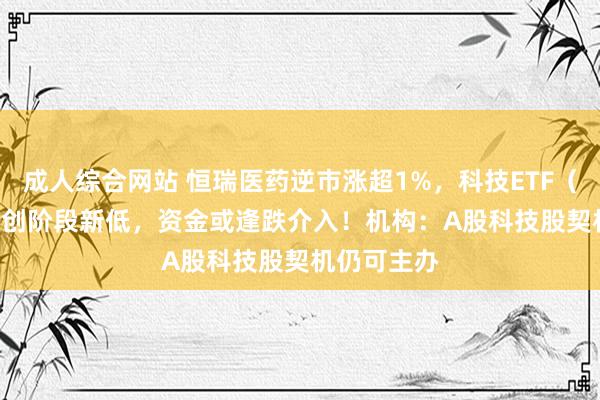 成人综合网站 恒瑞医药逆市涨超1%，科技ETF（515000）创阶段新低，资金或逢跌介入！机构：A股科技股契机仍可主办