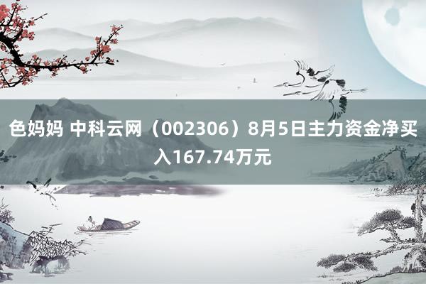 色妈妈 中科云网（002306）8月5日主力资金净买入167.74万元