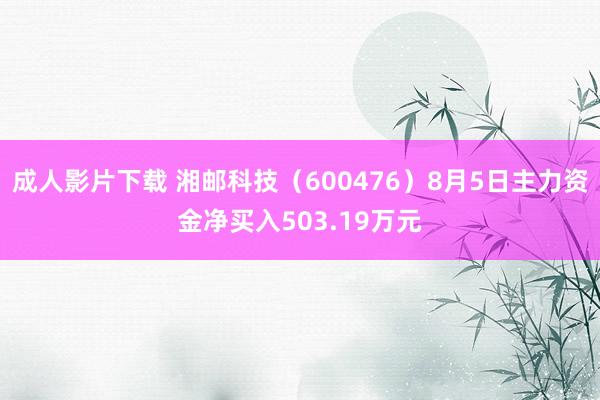 成人影片下载 湘邮科技（600476）8月5日主力资金净买入503.19万元