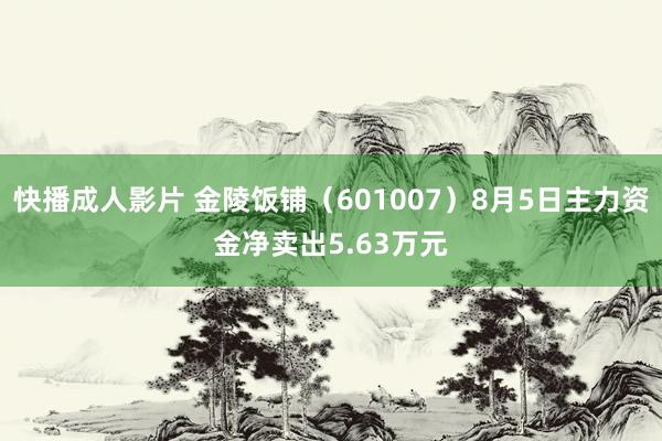 快播成人影片 金陵饭铺（601007）8月5日主力资金净卖出5.63万元