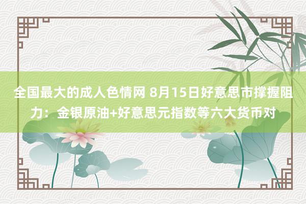 全国最大的成人色情网 8月15日好意思市撑握阻力：金银原油+好意思元指数等六大货币对