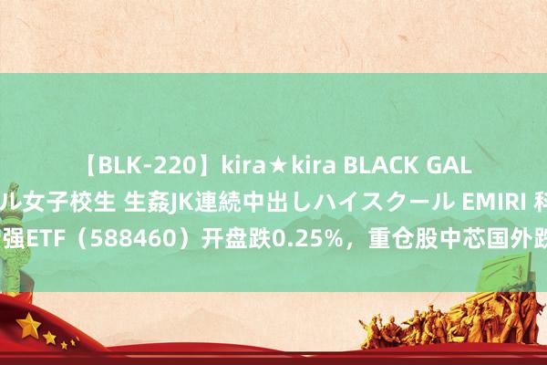 【BLK-220】kira★kira BLACK GAL 留年5年目のお姉黒ギャル女子校生 生姦JK連続中出しハイスクール EMIRI 科创50增强ETF（588460）开盘跌0.25%，重仓股中芯国外跌0.10%，中微公司跌0.20%