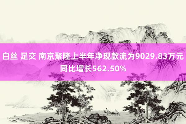 白丝 足交 南京聚隆上半年净现款流为9029.83万元同比增长562.50%