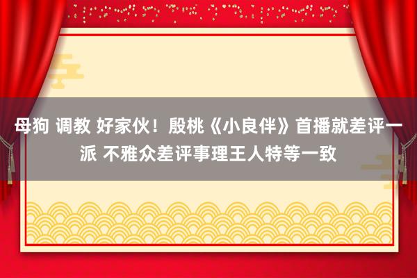 母狗 调教 好家伙！殷桃《小良伴》首播就差评一派 不雅众差评事理王人特等一致