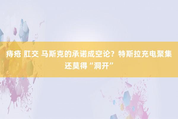 痔疮 肛交 马斯克的承诺成空论？特斯拉充电聚集还莫得“洞开”