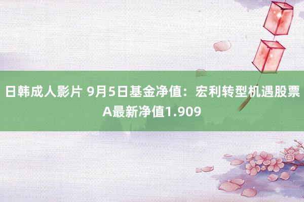 日韩成人影片 9月5日基金净值：宏利转型机遇股票A最新净值1.909