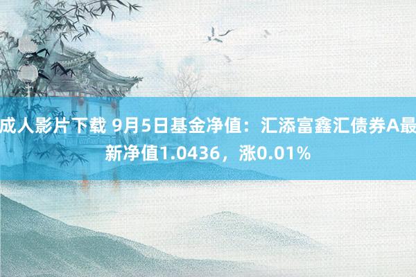 成人影片下载 9月5日基金净值：汇添富鑫汇债券A最新净值1.0436，涨0.01%