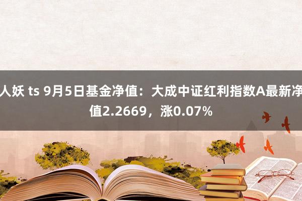 人妖 ts 9月5日基金净值：大成中证红利指数A最新净值2.2669，涨0.07%