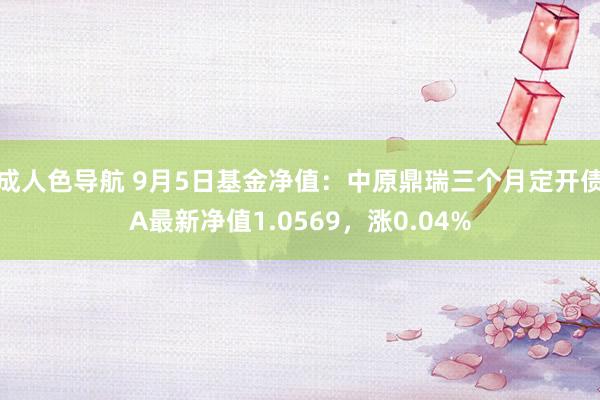 成人色导航 9月5日基金净值：中原鼎瑞三个月定开债A最新净值1.0569，涨0.04%