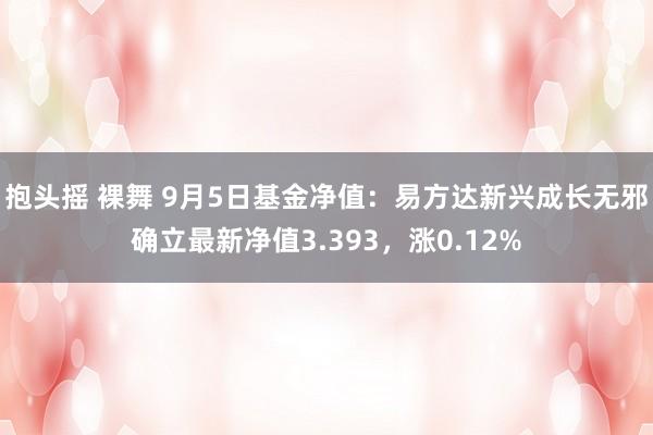 抱头摇 裸舞 9月5日基金净值：易方达新兴成长无邪确立最新净值3.393，涨0.12%