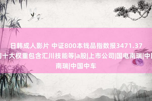 日韩成人影片 中证800本钱品指数报3471.37点，前十大权重包含汇川技能等|a股|上市公司|国电南瑞|中国中车